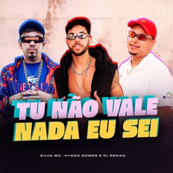 Tu não vale nada eu sei