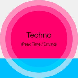 Summer Sounds 2024: Techno (P/D)