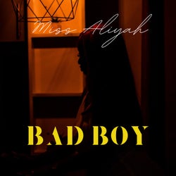 Bad Boy