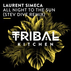 All Night to the Sun (Stev Dive Remix)