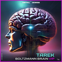 Boltzmann Brain (VIP)
