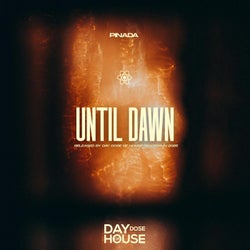 Until Dawn