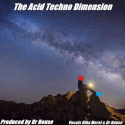 The Acid Techno Dimension