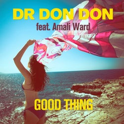 Good Thing (feat. Amali Ward)