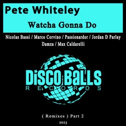 Watcha Gonna Do (Remixes), Pt. 2