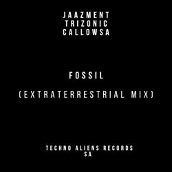 Fossil (Extraterrestrial Mix)