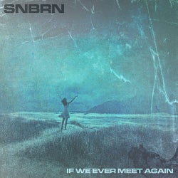 If We Ever Meet Again (Extended Mix)