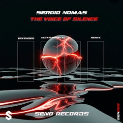 The Voice Of Silence