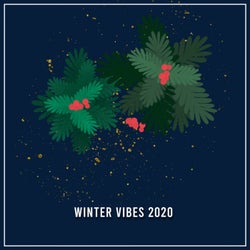 Winter Vibes 2020