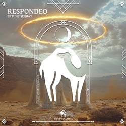 Respondeo