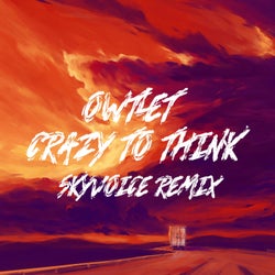 Crazy To Think (Remix)