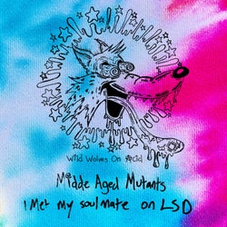 Met My Soul Mate on LSD