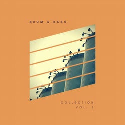 Sliver Recordings: Drum & Bass, Collection, Vol. 5