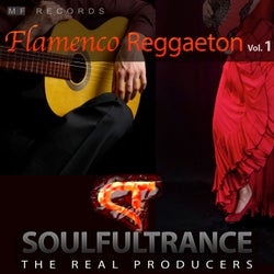 Flamenco Reggaeton, Vol. 1