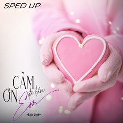 Cảm Ơn Đã Bên Em (Sped Up)