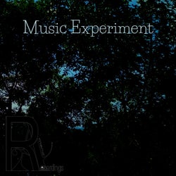 Music Experiment