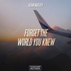 Forget The World You Knew