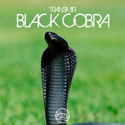 Black Cobra