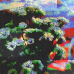 Neon Garden EP