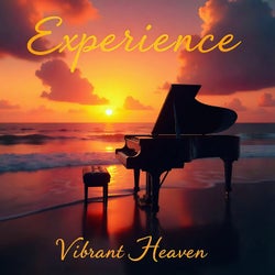 Experience