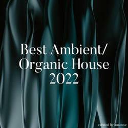 Best Ambient/Organic House 2022