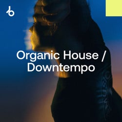 Amsterdam Dance Event 2024: Organic H / D