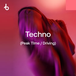 Festival Essentials 2025: Techno (P/D)