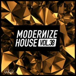 Modernize House Vol. 38
