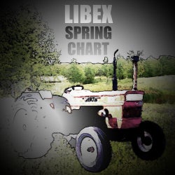 Libex Spring Chart