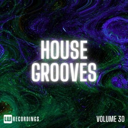 House Grooves, Vol. 30