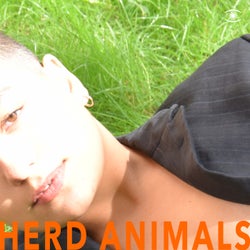 Herd Animals