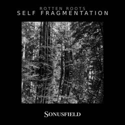Self Fragmentation