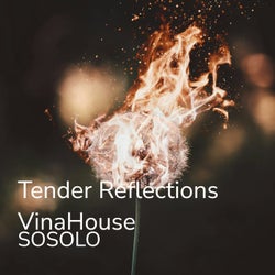 Tender Reflections Vinahouse