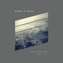 Sliver Recordings: Drum & Bass, Collection, Vol. 17