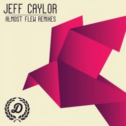 Almost Flew Remixes