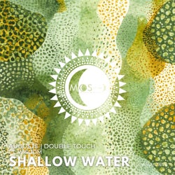 Shallow Water