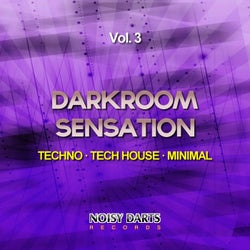 Darkroom Sensation, Vol. 3 (Techno - Tech House - Minimal)