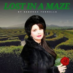 Lost In A Maze