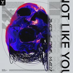 Not Like You
