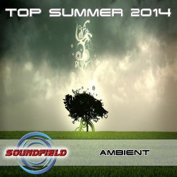 Ambient Top Summer 2014