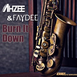 Burn It Down (Original Extended Mix)