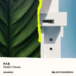 Nadzi's House