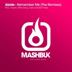 Remember Me Remixes