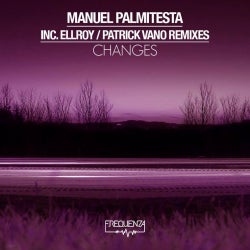 Manuel Palmitesta Changes July 2014