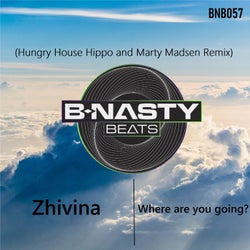 Where are you going? (Hungry House Hippo & Marty Madsen Remix)