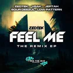 Feel Me Remix EP