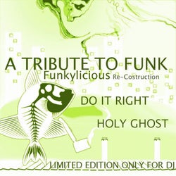 A Tribute To Funk Funkylicious Re-Costruction Tribute
