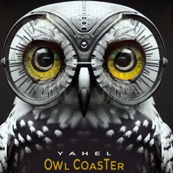 Owl Coaster