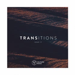 Transition Issue 17
