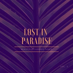 Lost in Paradise (Beautiful Summer Tunes), Vol. 3
